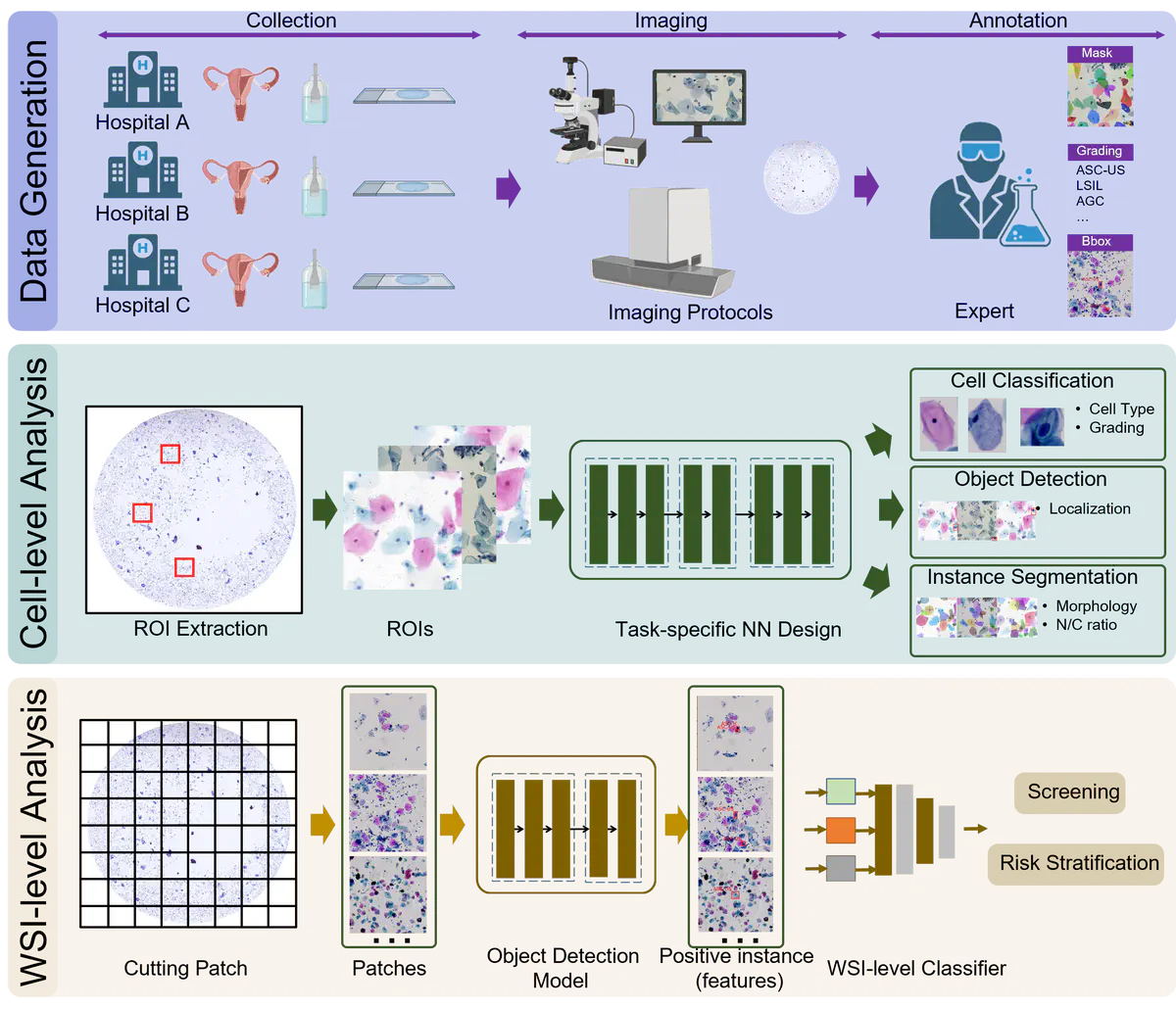 Computational Cytology