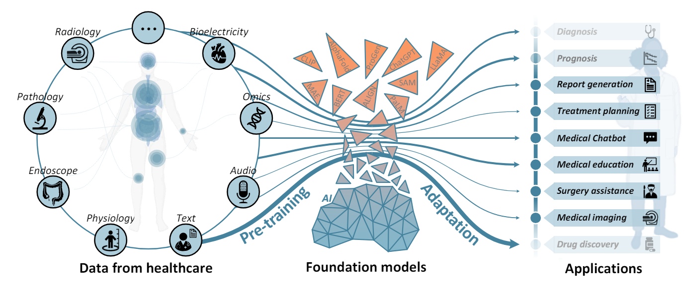 Healthcare AI Models